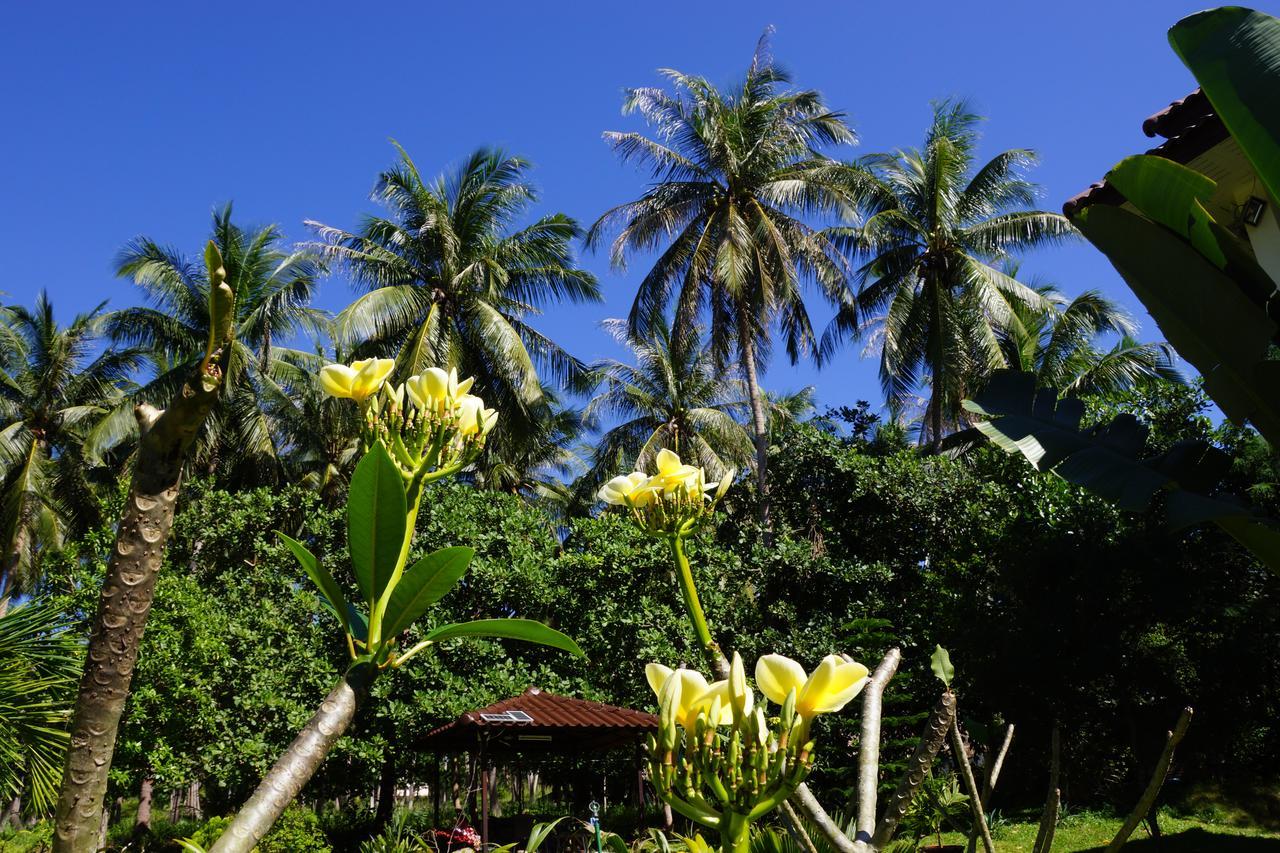 Twin Villas Apartment With Swimming Pool For 2 Houses Wok Tum Eksteriør billede