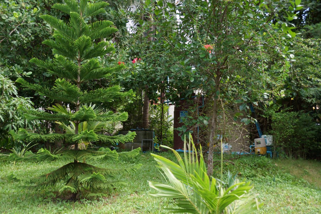 Twin Villas Apartment With Swimming Pool For 2 Houses Wok Tum Eksteriør billede